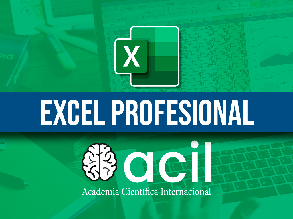 Excel Profesional